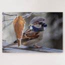 Recherche de moineau puzzles Hiver