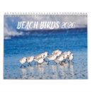 Recherche de deux oiseaux photographie Photographie de la faune