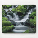 Recherche de forêt tropicale tapis souris Vert