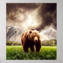 Recherche de ours gris posters Animaux