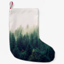 Recherche de palmier chaussette de noël Arbres