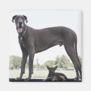 Recherche de contrastes magnets Dehors