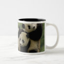 Recherche de panda géant tasses Chine