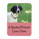 Recherche de indicateurs magnets Chien