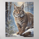 Recherche de lynx posters Chat