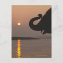 Recherche de népal cartes postales Nature