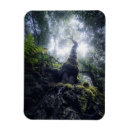 Recherche de moser magnets Moss