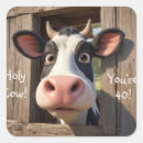 Recherche de humour de vache autocollants Ferme