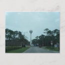 Recherche de dauphins cartes postales Voyage