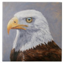 Recherche de rapace carreaux Faune