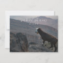 Recherche de oman cartes postales Muscat
