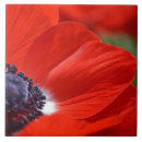 Recherche de ressort carreaux Photographie