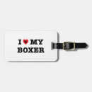 Recherche de boxeur allemand Survol