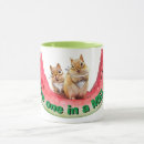 Recherche de humour pastèque maison deco Animal