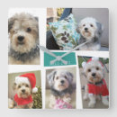 Recherche de photo collage template horloges Modern