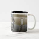 Recherche de olympia tasses P 51