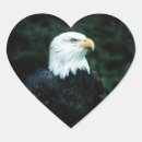 Recherche de eagle autocollants Chauve