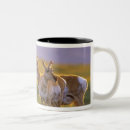 Recherche de antilopes tasses Faune
