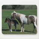 Recherche de cheval miniature tapis souris Poulain de jument