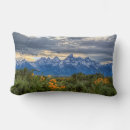 Recherche de teton grand coussins Montagne enneigée