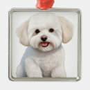 Recherche de frise bichon ornements Blanc