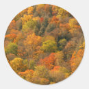 Recherche de motifs de montagne autocollants Forêt