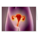 Recherche de sexuelle cartes postales Anatomie féminine