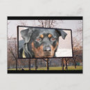 Recherche de rottweilers cartes postales Rotation