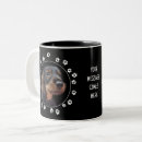 Recherche de poil tasses Dachshund
