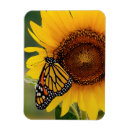 Recherche de monarques magnets Insectes