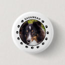 Recherche de patte noire badges Amoureux des chiens