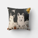 Recherche de berger blanc coussins Allemand
