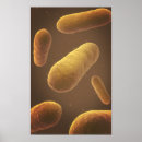 Recherche de pathologie art Répétition