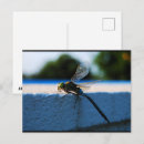 Recherche de rebord cartes postales Photographie