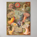 Recherche de ernst art Mer