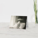 Recherche de colombe blanche vœux cartes Paix