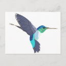 Recherche de colibri bleu cartes postales Oiseau