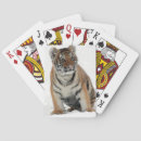 Recherche de tigre photographie Neige