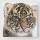 Recherche de appareils photo horloges Nature