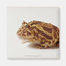 Recherche de humour magnets Animal