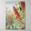 Recherche de mariann posters Fleurs