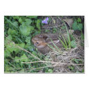 Recherche de salutations autres Nature