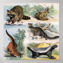 Recherche de millot posters Illustration