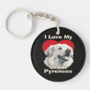 Recherche de pyrénées porteclés Chiot