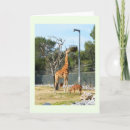 Recherche de noël girafe cartes invitations Zoo