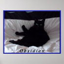 Recherche de de chat noir posters Chats