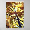 Recherche de couleurs de chute posters Photographie