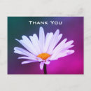 Recherche de marguerite turquoise cartes postales Toute personne