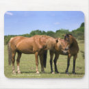 Recherche de cheval et forêt tapis souris Équin