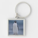 Recherche de adele porteclés Dehors